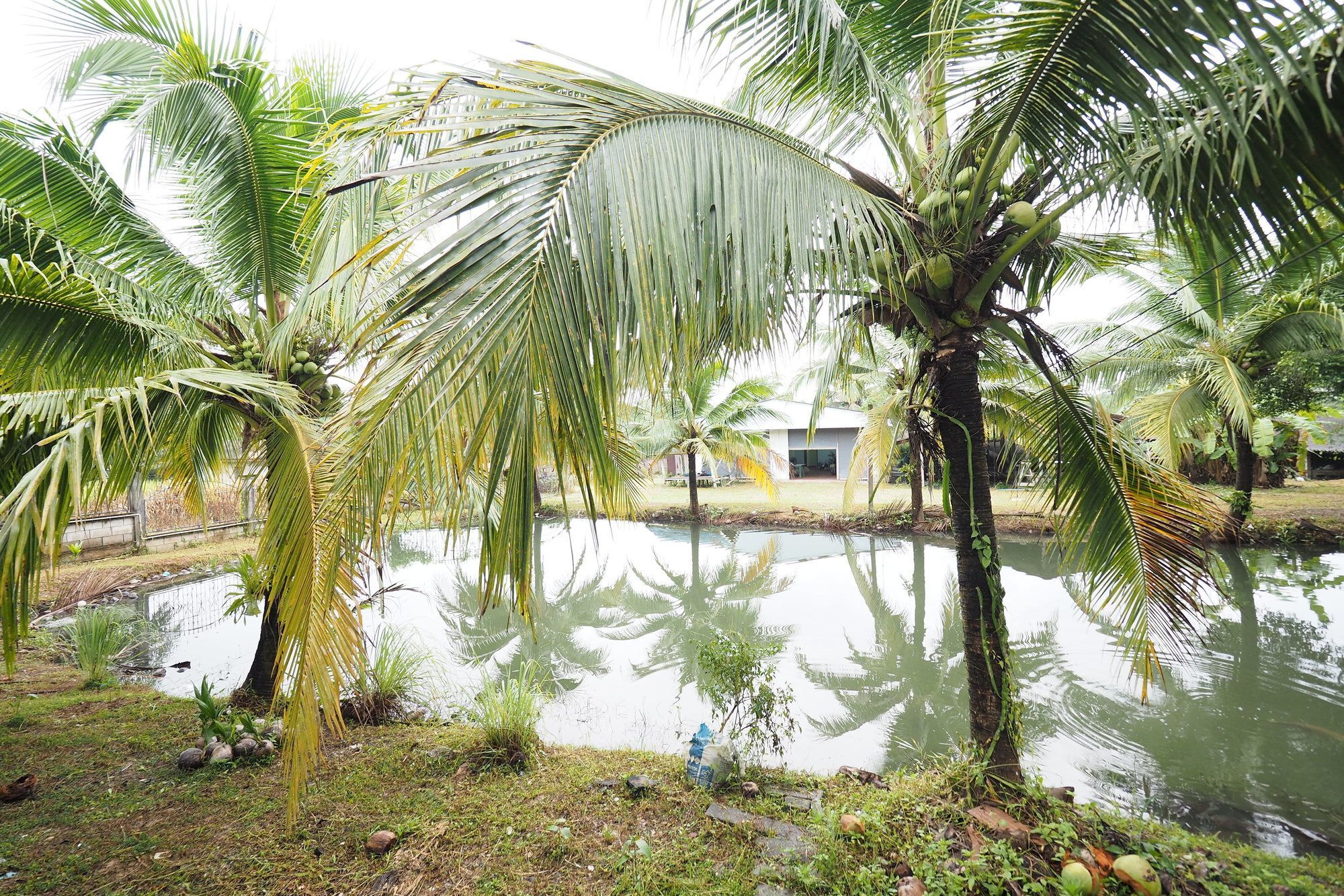 Oyo 75515 Sairung Farmstay Krabi Exterior photo